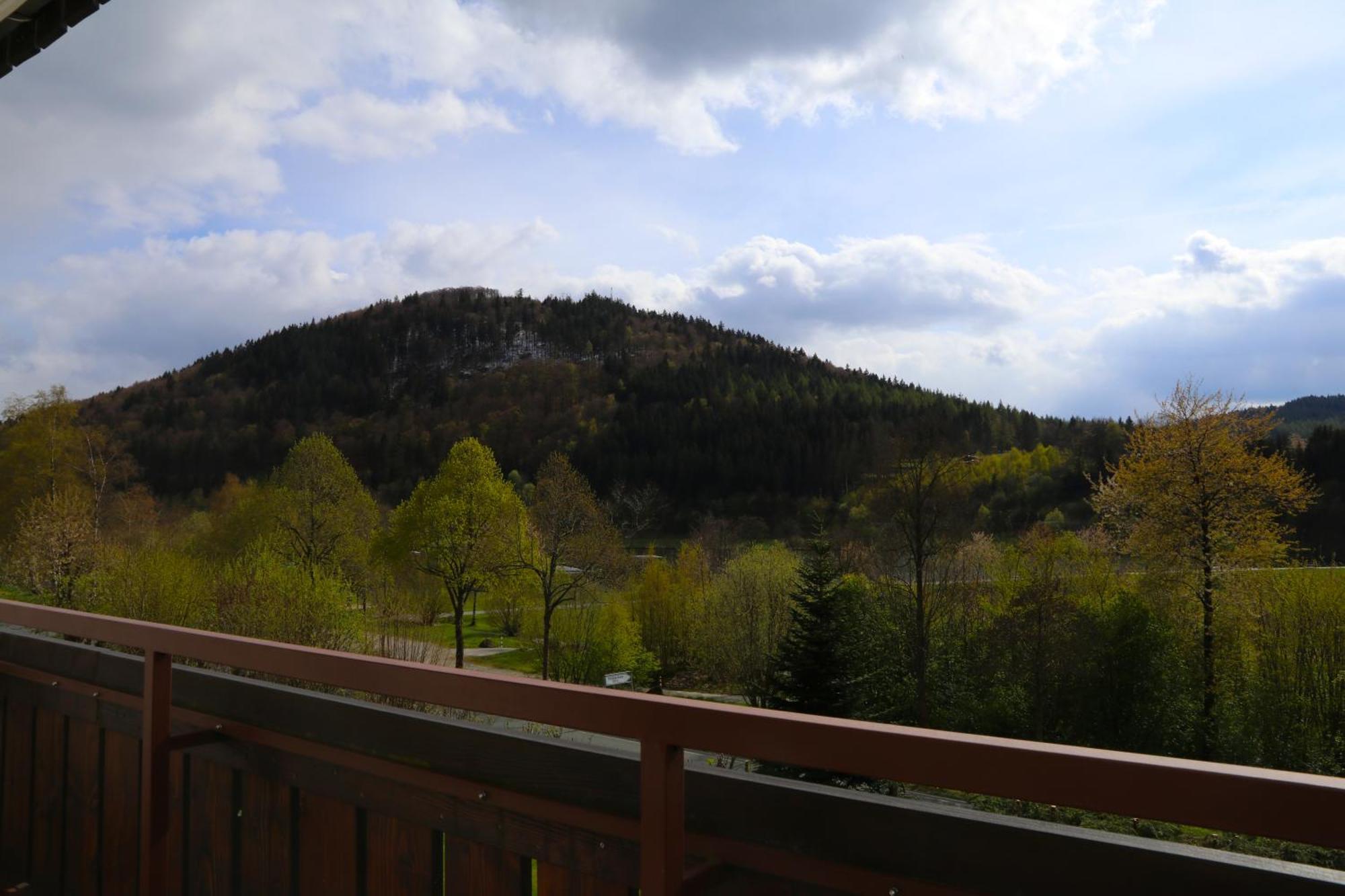 Sonnenblick Balkony - Wifi - New & Modern - - Niedersfeld Apartment