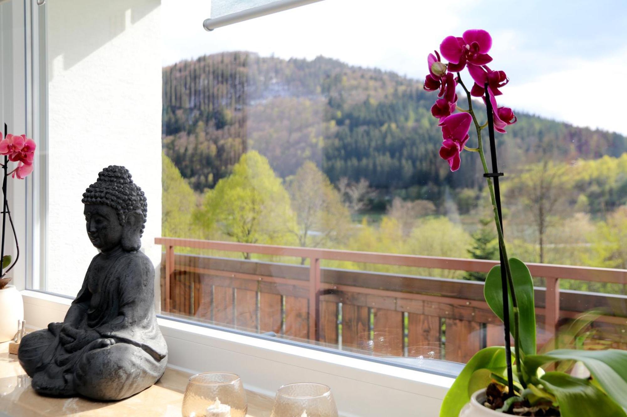 Sonnenblick Balkony - Wifi - New & Modern - - Niedersfeld Apartment